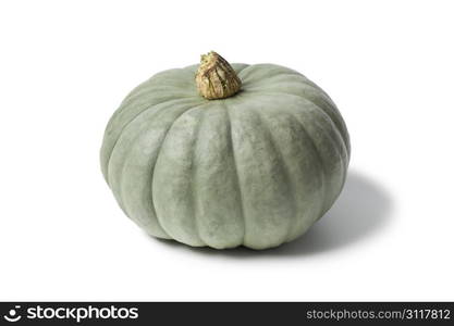 Whole single grey pumpkin named Confection on white background