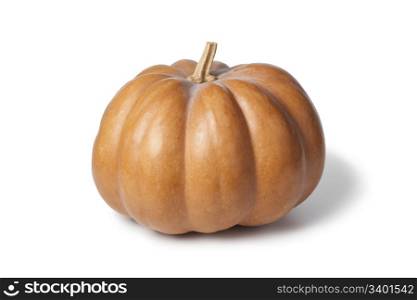 Whole single Muscat de Provence pumpkin on white background