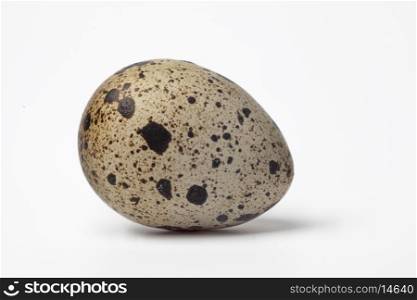 Whole single quail egg on white background