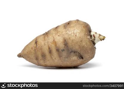 Whole single Turnip-rooted chervil on white background