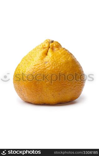 Whole single ugli fruit isolated on white background