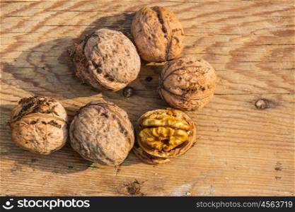 Whole walnuts and walnut kernels. New harvest, just cropped.