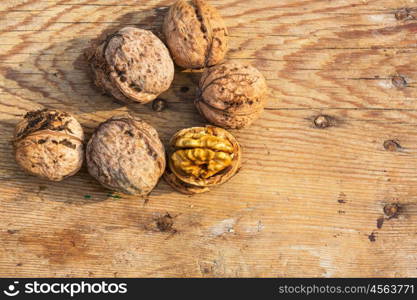 Whole walnuts and walnut kernels. New harvest, just cropped.