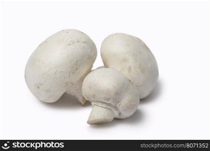 Whole White mushroom stack on white background. White Mushroom