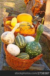 Wicker basket ful of decorative gourd
