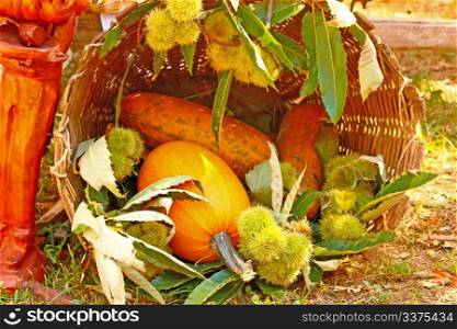 Wicker basket ful of decorative gourds and chestnuts