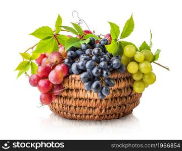 Wicker basket full of ripe grapes isolated on a white background. Basket full of grapes