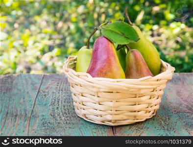 Wicker basket of ripe pears