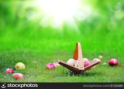 wicker basket with apples in garden