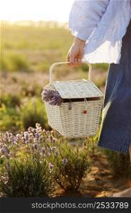 wicker basket with lavender flowers in the young hands of a woman with sunset light in the field. wicker basket with lavender flowers in the young hands of a woman with sunset light in the field.