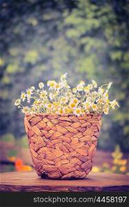 wicker flowers pot with daisies bunch on wooden garden table over bush foliage background, retro toned