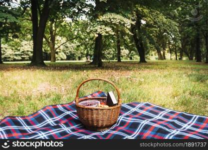 wicker picnic basket blanket park. Resolution and high quality beautiful photo. wicker picnic basket blanket park. High quality and resolution beautiful photo concept