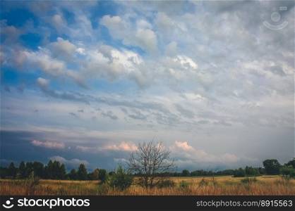 Wide blue sky above rural area landscape photo. Beautiful nature scenery photography with blurred background. Idyllic scene. High quality picture for wallpaper, travel blog, magazine, article. Wide blue sky above rural area landscape photo