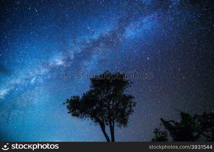 Wide field long exposure photo of the Milky Way