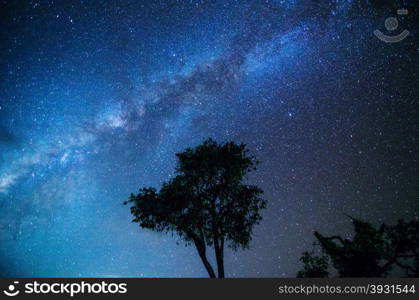 Wide field long exposure photo of the Milky Way