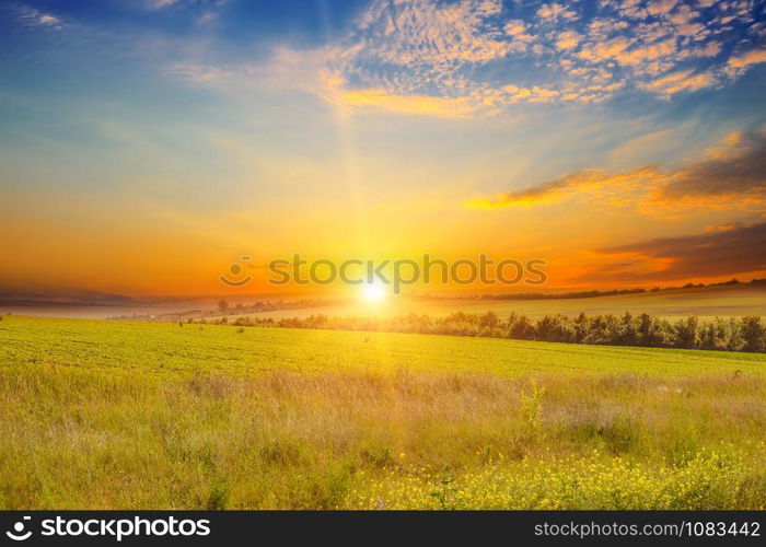 Wide landscape of green field and epic sunset