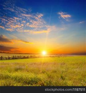 Wide landscape of green field and epic sunset