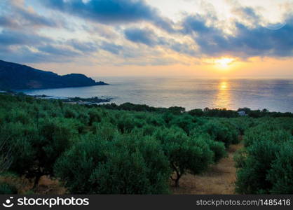 Wide view of a Cretan landscape, island of Crete, Greece