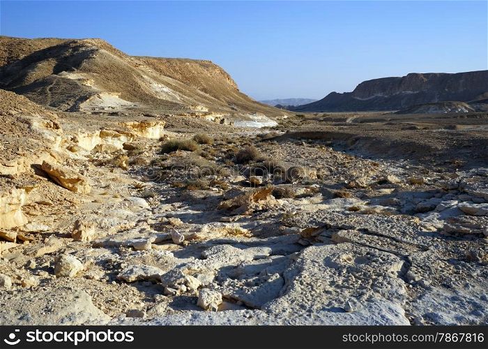 Wide wadi in Negev desert, Israel