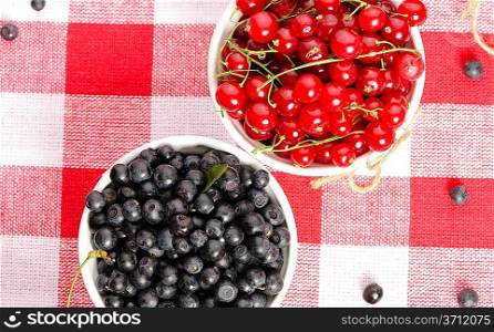 Wild berries in bowls - blueberry, redcurrant