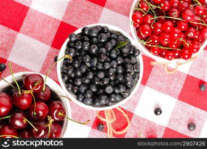 Wild berries in bowls - blueberry, redcurrant, cherry