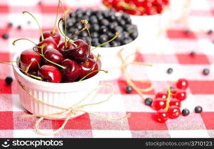 Wild berries in bowls - blueberry, redcurrant, cherry