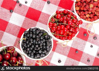 Wild berries in bowls - blueberry, redcurrant, cherry, strawberry
