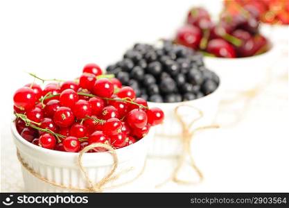 Wild berries in bowls - blueberry, redcurrant, cherry, strawberry