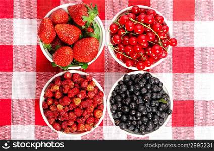 Wild berries in bowls - blueberry, redcurrant, strawberry