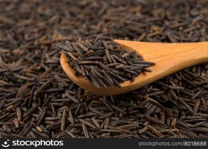 Wild brown rice in wooden spoon close up