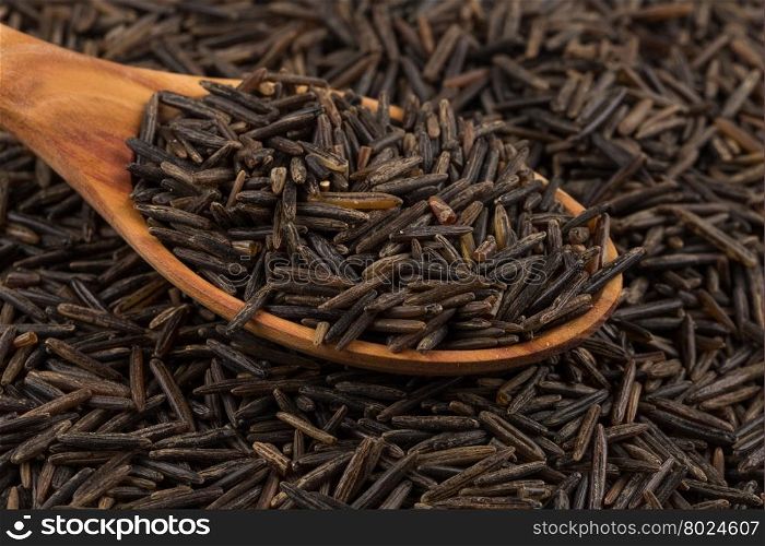 Wild brown rice in wooden spoon close up