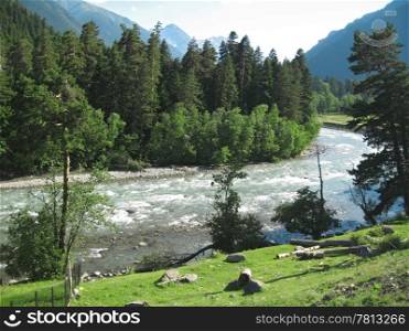 Wild caucasus river Zelenchuck. Arhyz. Cherkessia republic