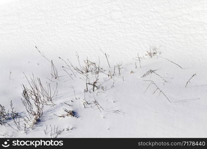 wild field with grass growing on it that was dry and frozen during the winter season, covered with snow and frost. wild field with grass