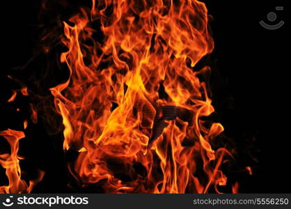 wild fire flames burn hot with black background