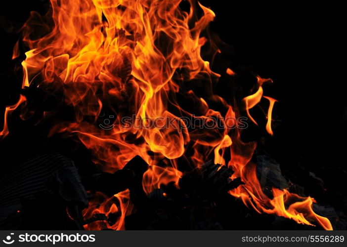 wild fire flames burn hot with black background