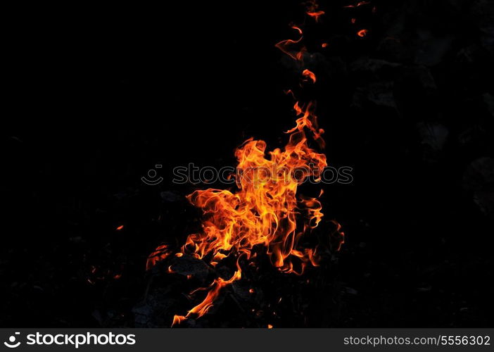 wild fire flames burn hot with black background