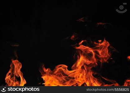 wild fire flames burn hot with black background