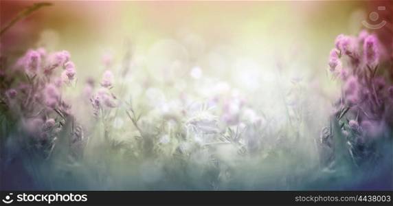 Wild flowers and herbs plant on for blurred nature background, banner