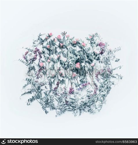 Wild flowers composition on white background, top view. Pastel color