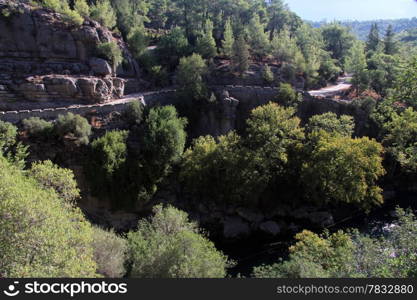 Wild forest and road in Koprulu canyon in Turkey