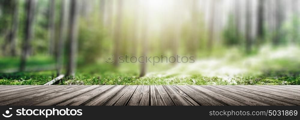 Wild forest panorama. Ecology summer beautiful background. Wild forest panorama