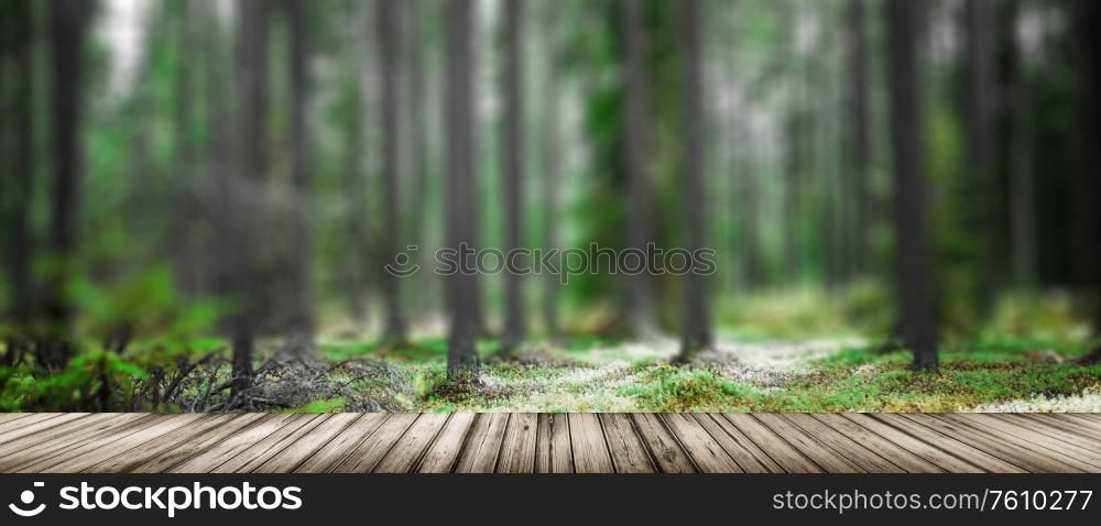 Wild forest panorama. Ecology summer beautiful background. Wild forest panorama