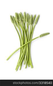 Wild green asparagus on white background