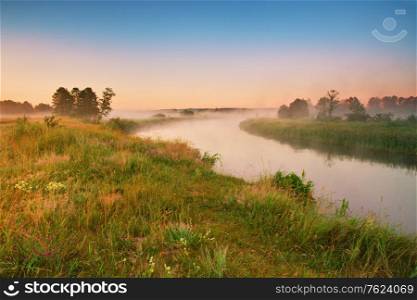 Wild meadow, blooming flowers. Beautiful summer sunrise rural landscape. Morning fog on river. River Neman, Belarus