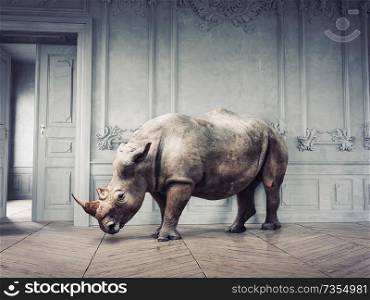 wild rhino in the luxury room interior. photo and media mixed creative concept