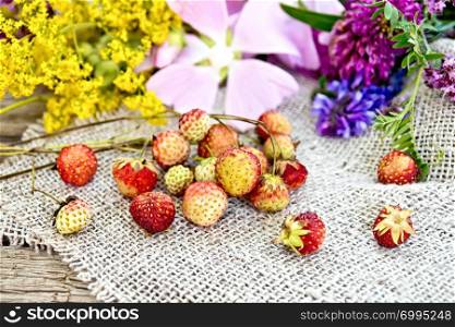 Wild ripe strawberries on the stems and wild flowers on burlap on the background of wooden boards