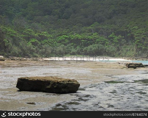 wild rocky shore in australia. rocky tidal shore in australia with forest in the background