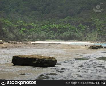 wild rocky shore in australia. rocky tidal shore in australia with forest in the background