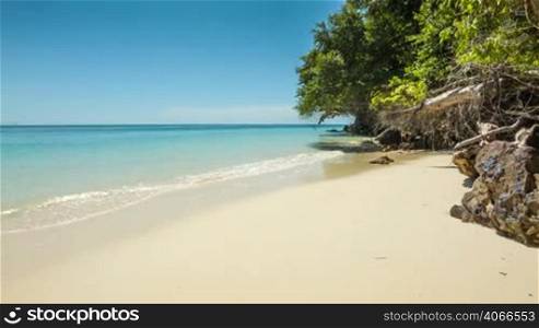 Wild sand beach with trees and rocks