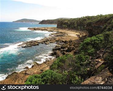 Wild shore in Australia. Wild shore in australia with cliffs, trees and ocean